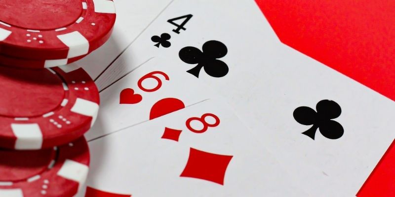 Tổng quan khi Giới thiệu 8XX